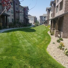 Home Owners Association