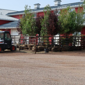 Home Owners Association